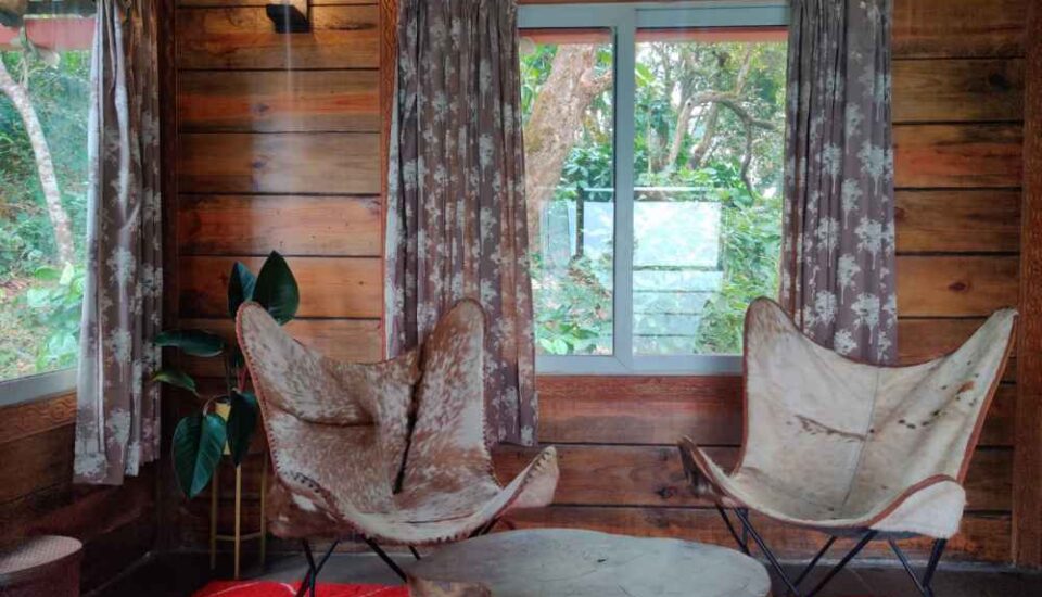 Tree House- Top room