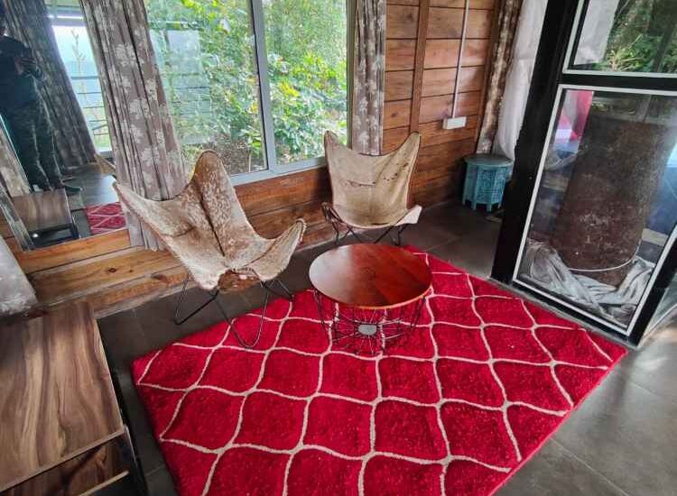 Tree House- Top room