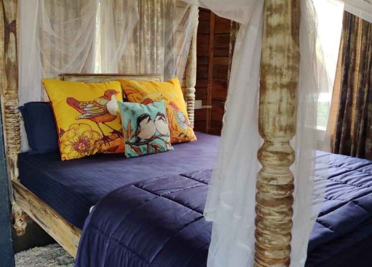 Tree House- Top room