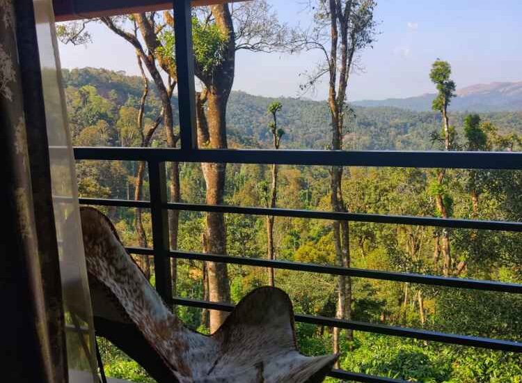 Tree House- Top room