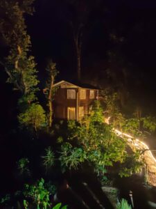 Gallery Thumbnail 10