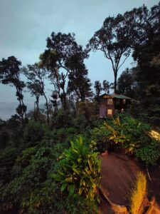 Gallery Thumbnail 15