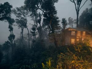 Gallery Thumbnail 16