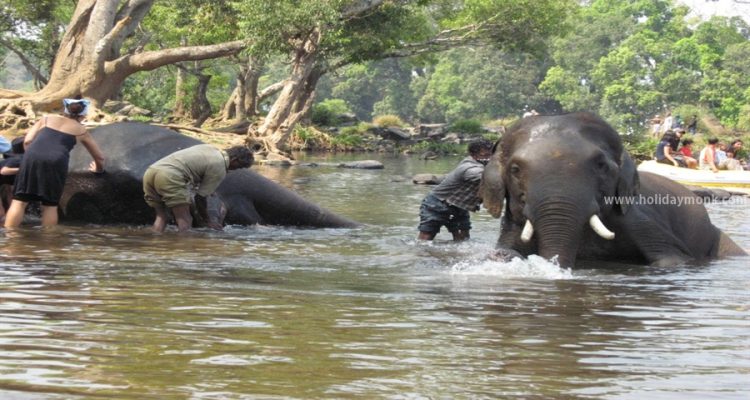 Dubare-Elephant-Camp-3