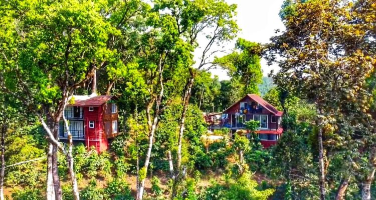 Experience the wonderful pic (1)