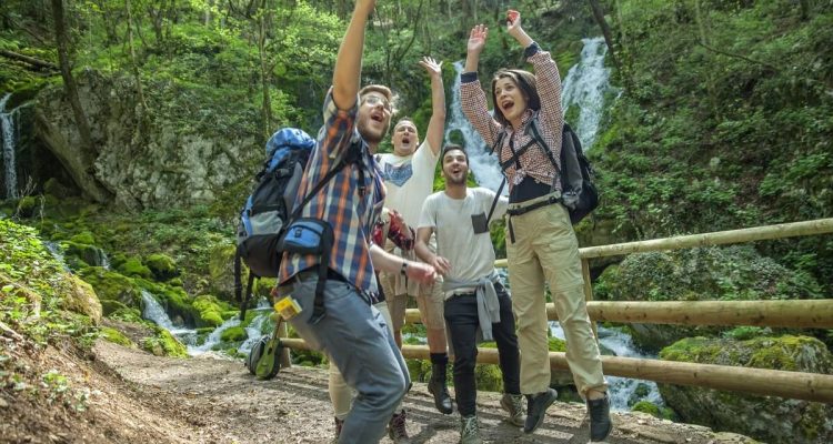 woodpecker-activities-1